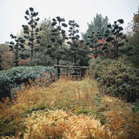 a park with trees, bushes and an old fence
