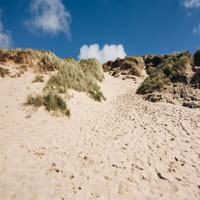 a sand dune with wind blown patches of grass